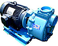 centrifugal pumps coupled to electric motors image